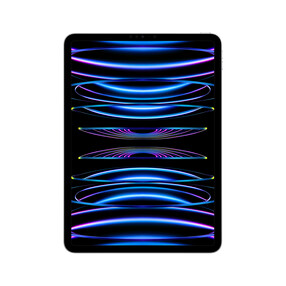 iPad Pro Wi-Fi, 256GB, silber, 11&amp;quot; (4.Gen.)